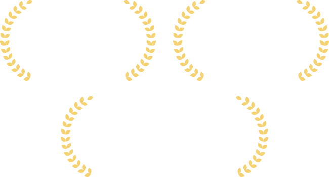 魅力を伝える動画制作力　解決実績多数の広告プランニング力　候補者を誘致するSNS運営力